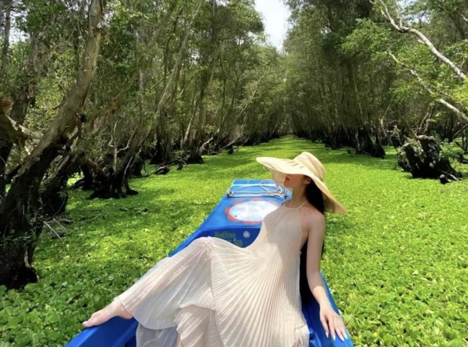 Rừng tràm Trà Sư