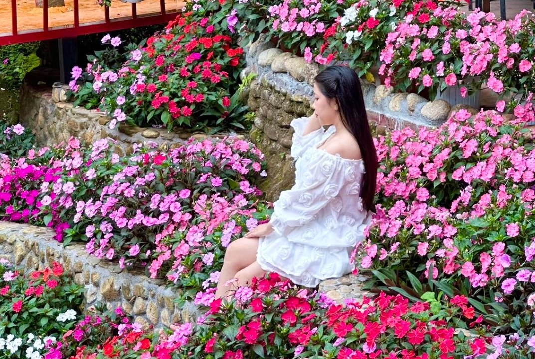 Tour tham quan Suối Chí Quảng Ngãi